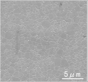 TM-DAR烧结体的组织结构